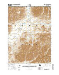 Survey Pass D-1 NE Alaska Current topographic map, 1:25000 scale, 7.5 X 7.5 Minute, Year 2016