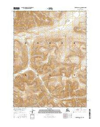Survey Pass D-2 SE Alaska Current topographic map, 1:25000 scale, 7.5 X 7.5 Minute, Year 2016