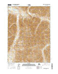 Survey Pass D-2 SW Alaska Current topographic map, 1:25000 scale, 7.5 X 7.5 Minute, Year 2016