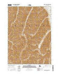 Survey Pass D-4 SW Alaska Current topographic map, 1:25000 scale, 7.5 X 7.5 Minute, Year 2016