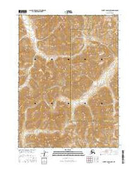 Survey Pass D-5 SW Alaska Current topographic map, 1:25000 scale, 7.5 X 7.5 Minute, Year 2016