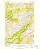 Taku River A-5 Alaska Historical topographic map, 1:63360 scale, 15 X 15 Minute, Year 1951