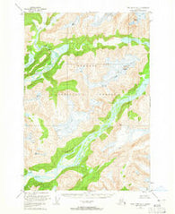 Taku River A-5 Alaska Historical topographic map, 1:63360 scale, 15 X 15 Minute, Year 1951