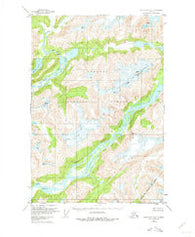Taku River A-5 Alaska Historical topographic map, 1:63360 scale, 15 X 15 Minute, Year 1951