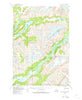 Taku River A-5 Alaska Historical topographic map, 1:63360 scale, 15 X 15 Minute, Year 1951