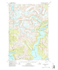 Taku River A-6 Alaska Historical topographic map, 1:63360 scale, 15 X 15 Minute, Year 1951