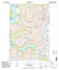 Taku River B-6 Alaska Historical topographic map, 1:63360 scale, 15 X 15 Minute, Year 1994