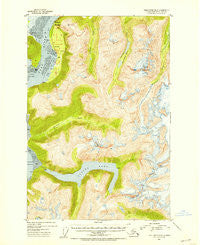 Taku River B-6 Alaska Historical topographic map, 1:63360 scale, 15 X 15 Minute, Year 1951