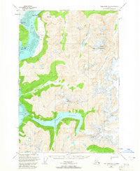 Taku River B-6 Alaska Historical topographic map, 1:63360 scale, 15 X 15 Minute, Year 1951
