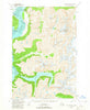 Taku River B-6 Alaska Historical topographic map, 1:63360 scale, 15 X 15 Minute, Year 1951