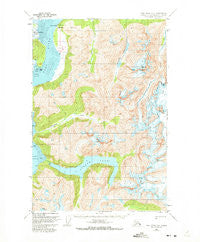 Taku River B-6 Alaska Historical topographic map, 1:63360 scale, 15 X 15 Minute, Year 1951