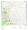 Taku River Alaska Historical topographic map, 1:250000 scale, 1 X 2 Degree, Year 1960