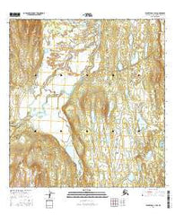 Talkeetna C-1 SW Alaska Current topographic map, 1:25000 scale, 7.5 X 7.5 Minute, Year 2016