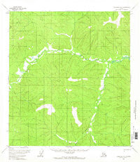 Tanacross B-2 Alaska Historical topographic map, 1:63360 scale, 15 X 15 Minute, Year 1956