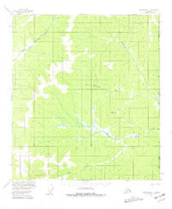 Tanacross C-1 Alaska Historical topographic map, 1:63360 scale, 15 X 15 Minute, Year 1956