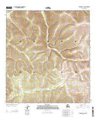 Tanacross A-2 NE Alaska Current topographic map, 1:25000 scale, 7.5 X 7.5 Minute, Year 2013