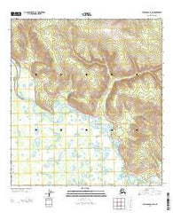 Tanacross A-2 SW Alaska Current topographic map, 1:25000 scale, 7.5 X 7.5 Minute, Year 2013