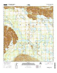 Tanacross A-3 NW Alaska Current topographic map, 1:25000 scale, 7.5 X 7.5 Minute, Year 2016