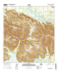 Tanacross A-4 NE Alaska Current topographic map, 1:25000 scale, 7.5 X 7.5 Minute, Year 2016
