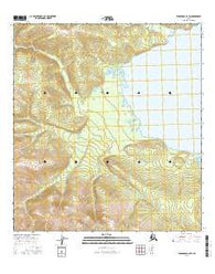 Tanacross A-4 SW Alaska Current topographic map, 1:25000 scale, 7.5 X 7.5 Minute, Year 2016