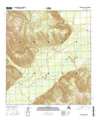 Tanacross A-5 NE Alaska Current topographic map, 1:25000 scale, 7.5 X 7.5 Minute, Year 2016