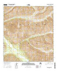 Tanacross A-6 NE Alaska Current topographic map, 1:25000 scale, 7.5 X 7.5 Minute, Year 2016