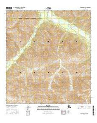 Tanacross A-6 SE Alaska Current topographic map, 1:25000 scale, 7.5 X 7.5 Minute, Year 2016