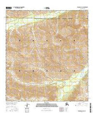 Tanacross A-6 SW Alaska Current topographic map, 1:25000 scale, 7.5 X 7.5 Minute, Year 2016