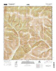 Tanacross B-1 NE Alaska Current topographic map, 1:25000 scale, 7.5 X 7.5 Minute, Year 2015