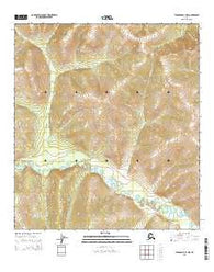 Tanacross B-1 NW Alaska Current topographic map, 1:25000 scale, 7.5 X 7.5 Minute, Year 2015