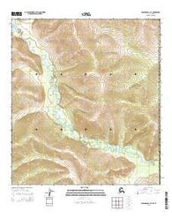 Tanacross B-1 SE Alaska Current topographic map, 1:25000 scale, 7.5 X 7.5 Minute, Year 2015