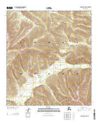 Tanacross B-2 NW Alaska Current topographic map, 1:25000 scale, 7.5 X 7.5 Minute, Year 2013