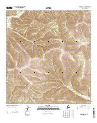 Tanacross B-2 SW Alaska Current topographic map, 1:25000 scale, 7.5 X 7.5 Minute, Year 2013