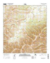 Tanacross B-3 NW Alaska Current topographic map, 1:25000 scale, 7.5 X 7.5 Minute, Year 2016