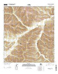 Tanacross B-3 SE Alaska Current topographic map, 1:25000 scale, 7.5 X 7.5 Minute, Year 2013