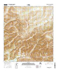 Tanacross B-4 NE Alaska Current topographic map, 1:25000 scale, 7.5 X 7.5 Minute, Year 2016
