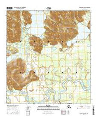 Tanacross B-5 NW Alaska Current topographic map, 1:25000 scale, 7.5 X 7.5 Minute, Year 2016