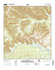 Tanacross B-6 NE Alaska Current topographic map, 1:25000 scale, 7.5 X 7.5 Minute, Year 2016