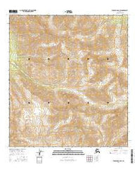 Tanacross B-6 SW Alaska Current topographic map, 1:25000 scale, 7.5 X 7.5 Minute, Year 2016