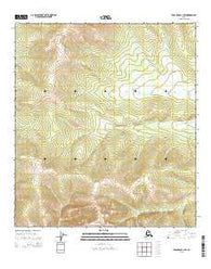 Tanacross C-1 SW Alaska Current topographic map, 1:25000 scale, 7.5 X 7.5 Minute, Year 2015