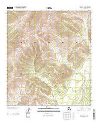 Tanacross C-2 NE Alaska Current topographic map, 1:25000 scale, 7.5 X 7.5 Minute, Year 2013