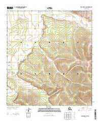 Tanacross C-2 SW Alaska Current topographic map, 1:25000 scale, 7.5 X 7.5 Minute, Year 2013