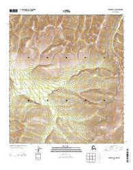 Tanacross C-3 NW Alaska Current topographic map, 1:25000 scale, 7.5 X 7.5 Minute, Year 2013