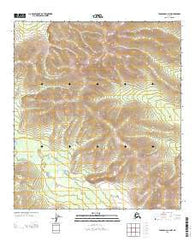 Tanacross C-4 NW Alaska Current topographic map, 1:25000 scale, 7.5 X 7.5 Minute, Year 2013