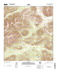 Tanacross C-4 SW Alaska Current topographic map, 1:25000 scale, 7.5 X 7.5 Minute, Year 2013