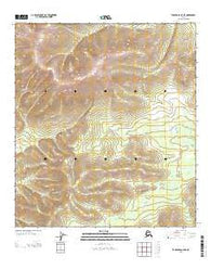 Tanacross C-5 NE Alaska Current topographic map, 1:25000 scale, 7.5 X 7.5 Minute, Year 2013