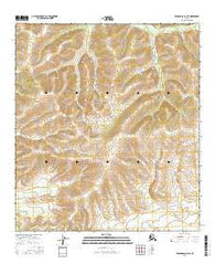 Tanacross C-6 NE Alaska Current topographic map, 1:25000 scale, 7.5 X 7.5 Minute, Year 2016