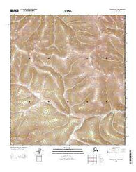 Tanacross D-1 NE Alaska Current topographic map, 1:25000 scale, 7.5 X 7.5 Minute, Year 2013