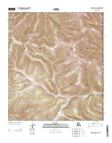 Tanacross D-1 NE Alaska Current topographic map, 1:25000 scale, 7.5 X 7.5 Minute, Year 2013