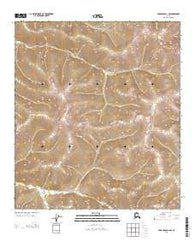 Tanacross D-1 NW Alaska Current topographic map, 1:25000 scale, 7.5 X 7.5 Minute, Year 2013